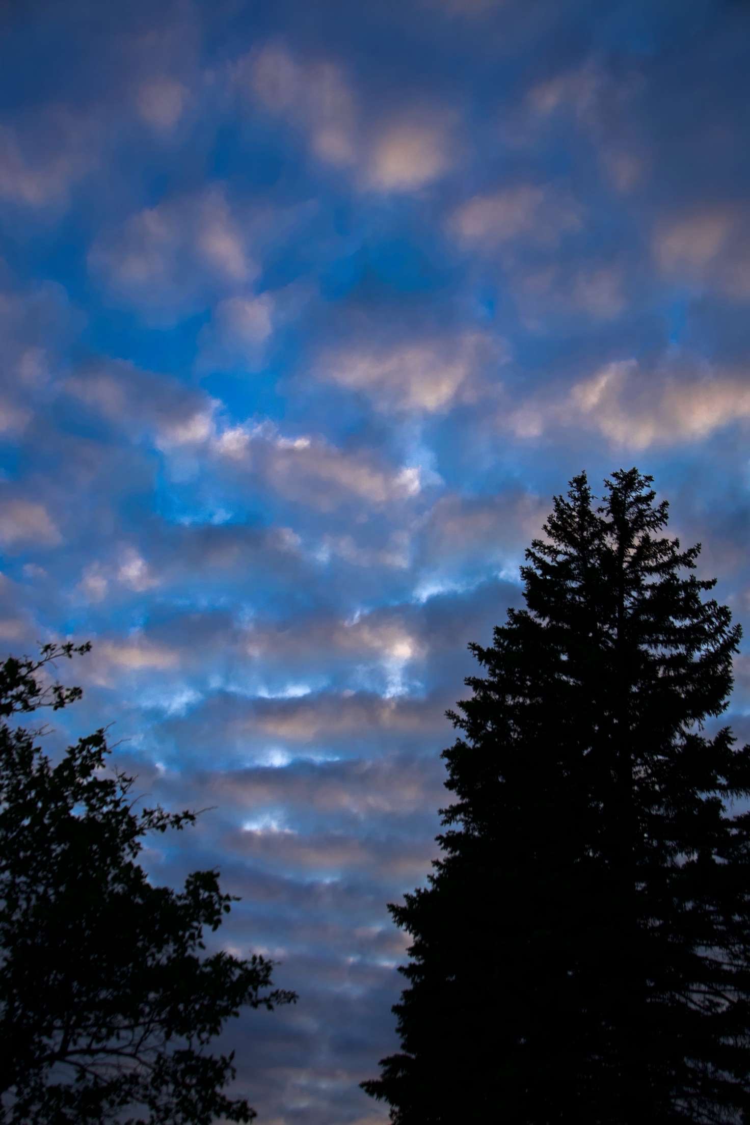 Beautiful sunset landscape nature photography - TMM Photography outdoor portraits